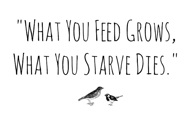 What You Feed Grows