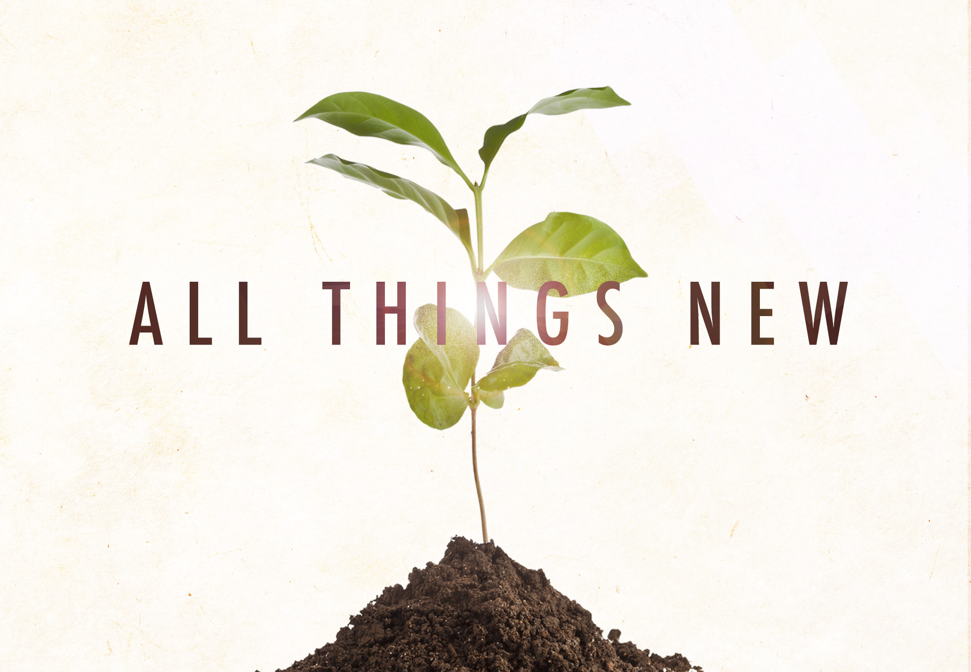 All Things New ~ What is Holding You Back?