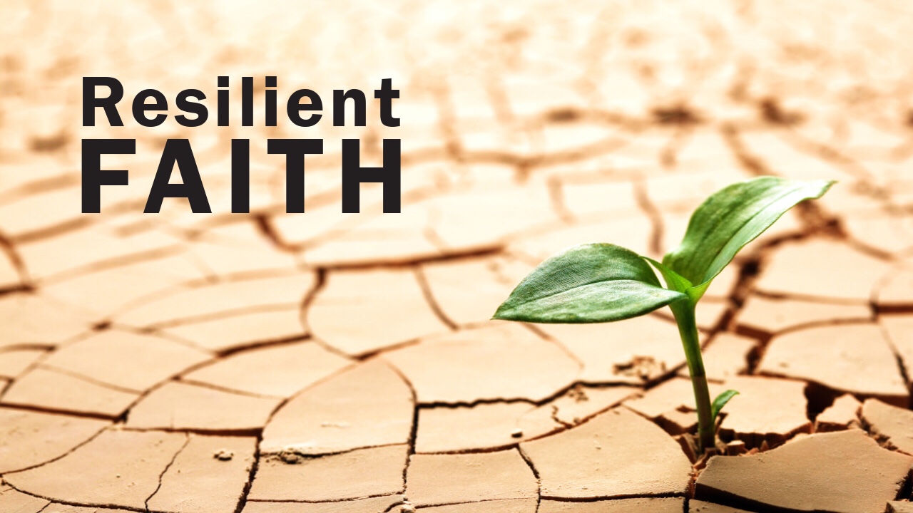 Resilient Faith ~ Has Meaningful Faith Relationships